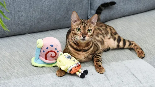 Vista 2 de SPONGEBOB SQUAREPANTS for Pets 2pc Cat Toy Collection, Spongebob and Gary Plush Toys Infused with Catnip Official Nickelodeon Pet Products