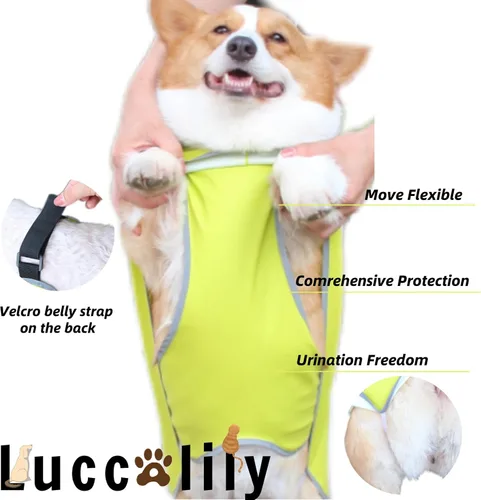 Vista 4 de Chaqueta de lluvia para perros con capucha para mascotas pequeñas, impermeable con tira reflectante, correa ajustable para la protección