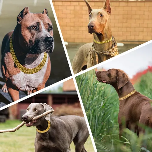 Vista 7 de Collar de cadena de oro para perro, acero inoxidable, oro de 18 quilates, ajustable, eslabones cubanos de metal a prueba de mordidas, cadena