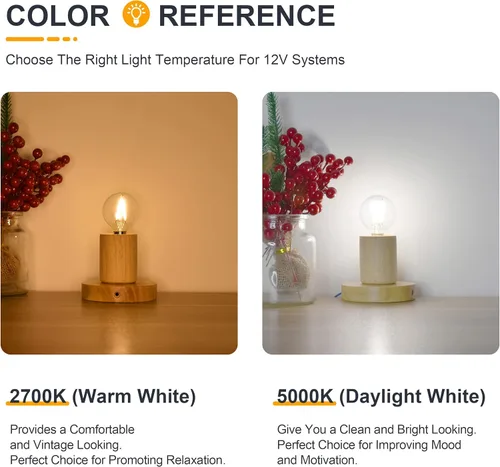 Vista 7 de Bombilla LED de 12 V, equivalente a 25 W, blanco cálido 2700 K, 2 W 200 Lm, 12-24 V CC, base de candelabro E12, bombillas de globo de bajo voltaje