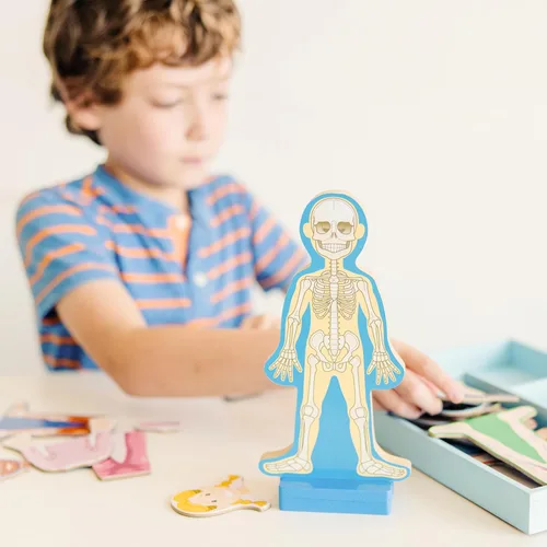 Vista 2 de Set de juego magnético de anatomía del cuerpo humano, con 24 piezas y bandeja de almacenamiento, de la marca Melissa & Doug