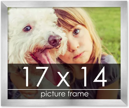 Vista 63 de Marco de madera de peltre plateado de 3 x 4 pulgadas, acrílico UV, respaldo de tablero de espuma y accesorios para colgar, marco de 3 x 4 pulgadas