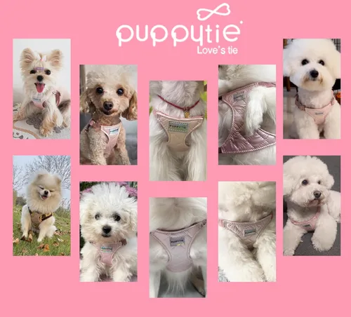 Vista 97 de Arnés sin tirones para perro, con correa multifunción, pechera suave y ajustable para mascota, no ahorca, chaleco a prueba de escape para perros