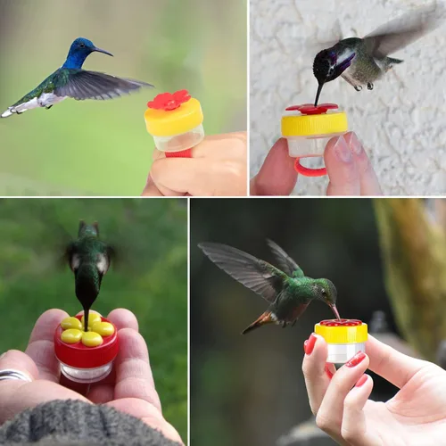 Vista 7 de Comederos de Anillo para Colibríes de Mano, 4 Piezas Mini Comedero de Mano para Colibríes con 4 Piezas Cepillo de Limpieza, Comederos de Pájaros