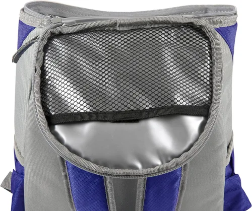 Vista 5 de Picnic TIME Disney Backpack Cooler, Insulated Soft Cooler Backpack, Waterproof Lunch Bag, Portable Hiking Ice Chest for Beach, Picnic, Camping &