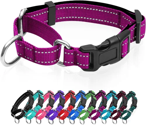 Vista 10 de Collares de perro Martingale reflectantes. Collar de perro con hebilla de liberación rápida. Collar de mascota de nylon ajustable, suave, acolchado