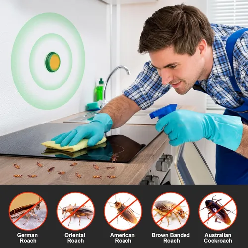 Vista 7 de Cebo para cucarachas: infestación de cucarachas en interiores, trampas para cucarachas, gel de cebo para cucarachas, deshazte de las cucarachas