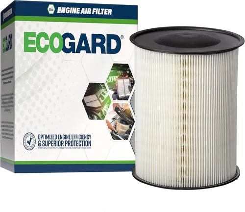 ECOGARD Filtro de aire de motor XA6149 prémium para Ford Focus 2012-2018, Escape 2013-2019, Lincoln MKC 2015-2019, Ford Transit Connect 2014-2016