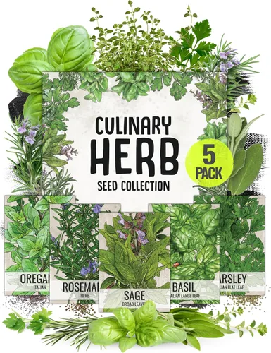 Seed Needs, Colección de paquetes de semillas de hierbas italianas (5 variedades individuales de semillas para plantar) sin OMG y sin tratar,