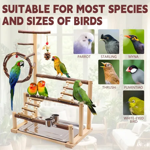 Vista 5 de Parque infantil para pájaros, soporte de loro de madera natural adecuado para pájaros pequeños y medianos, con tazas de alimentación, columpio