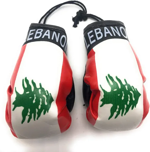 Vista 46 de Mini Guantes de Boxeo Colgantes para Espejo de Coche (Argentina)
