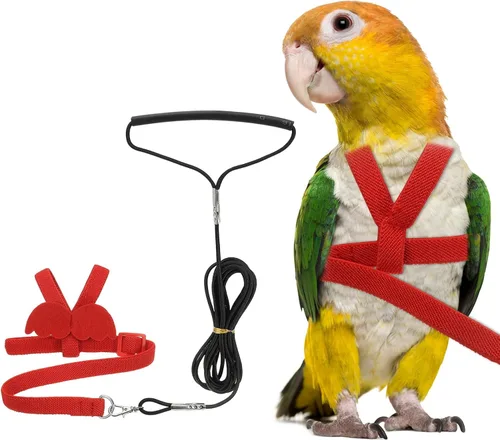 Vista 9 de Correa de arnés para pájaros, arnés y correa con linda ala, (azul, XS)