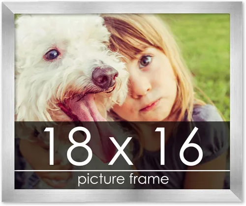 Vista 272 de Marco de madera de peltre plateado de 3 x 4 pulgadas, acrílico UV, respaldo de tablero de espuma y accesorios para colgar, marco de 3 x 4 pulgadas