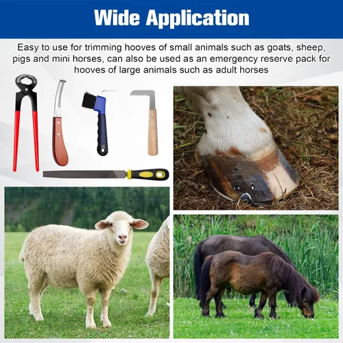 Vista 7 de Juego de 8 herramientas de herrador de 10 pulgadas con bolsa de almacenamiento