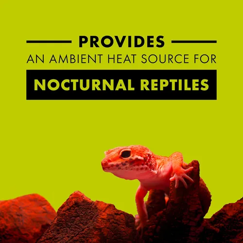 Vista 2 de Zilla Bombilla incandescente, rojo noche, ideal para especies de reptiles nocturnos