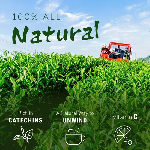 Vista 5 de NAKANE TEA INC. Bolsas de té verde japonés Matcha Blend, 100