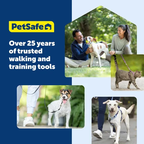 Vista 7 de Collar de la martingala de PetSafe Petite con hebilla rápida instantánea, Púrpura profundo