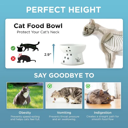 Vista 5 de Necoichi Cuenco elevado de comida para gatos sin estrés, elevado, prevención de reflujo, apto para lavavajillas y microondas, vendedor número 1