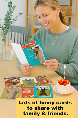 Vista 2 de Leanin' Tree Wildly Funny - Made In USA - 20 Tarjetas Surtidas con Sobres para Todas las Ocasiones, Tarjetas de Cumpleaños Suficientemente