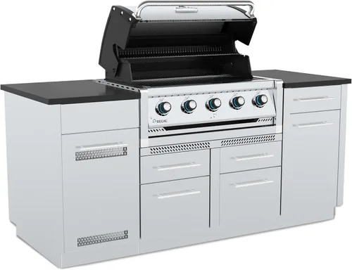 Vista 8 de Regal S 520 - Cabezal de parrilla de gas propano integrado de 5 quemadores