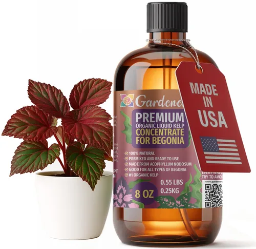 Vista 96 de GARDENERA Superalimento orgánico prémium de algas marinas y algas marinas para plantas AGLAONEMA, 8 onzas, concentrado de fertilizante líquido