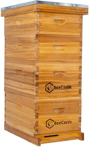 BeeCastle 8 marcos Langstroth Bee Hive recubierto con cera de abejas, incluye marcos de colmena y bases enceradas (2 cajas profundas y 2 cajas