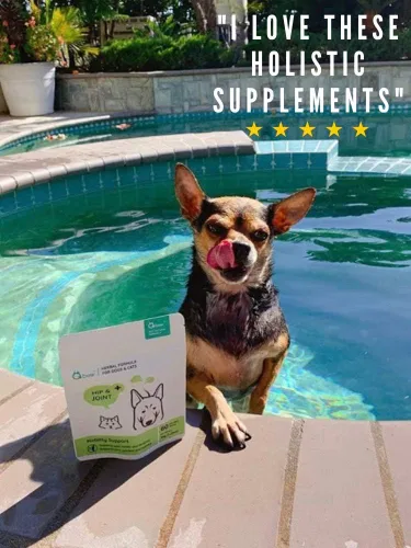 Vista 8 de Suplementos naturales de cadera y articulaciones para perros y gatos - Suplemento integral de mezcla de hierbas totalmente natural
