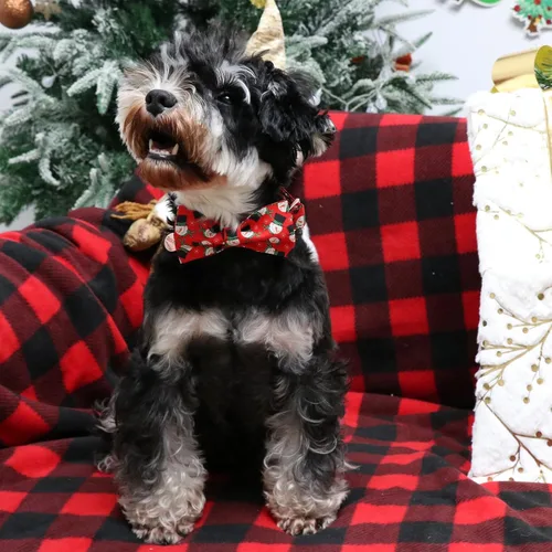 Vista 5 de Collar de Navidad para perro con pajarita, collar de Navidad para cachorros, hembras, machos, perros o gatos, collares con lazo con hebilla de metal