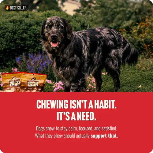 Vista 8 de Natural Farm Bully Sticks sin olor (4 pulgadas, 16 onzas) masticables totalmente naturales de larga duración, 100% pene de res, alimentado