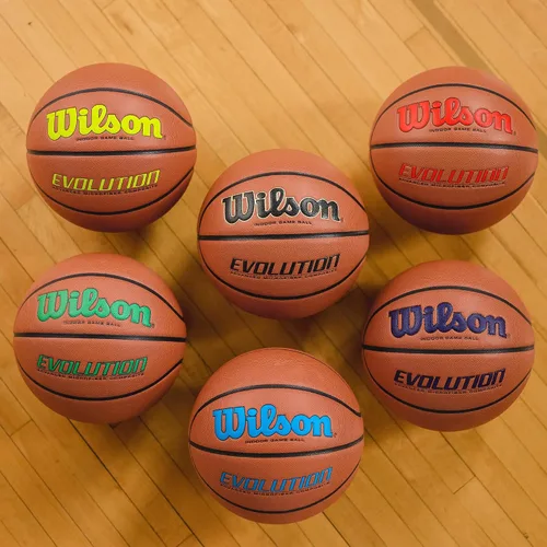 Vista 4 de Wilson Balones de baloncesto Evolution Escarlata/Marrón