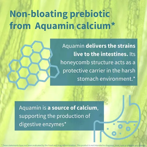 Vista 4 de Igennus Probiotics & Prebiotic 2 en 1, Lactobacillus Acidophilus & Bifidobacterium, apoyo a la salud intestinal, cultivos vivos+ Lab4, 25 mil