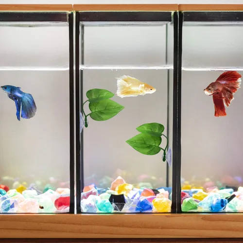 Vista 7 de URATOT Paquete de 4 almohadillas de hoja de pez Betta que simulan el hábitat natural para el crecimiento de Betta Grounds Cría Cama de descanso