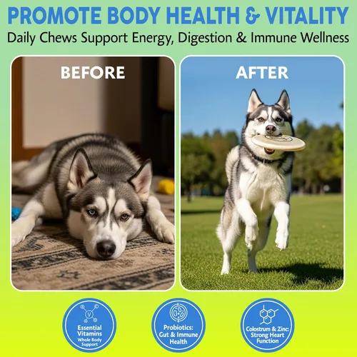 Vista 2 de Asher House Wellness Masticables Multivitamínicos para Perros - Vitaminas y Suplementos para Perros, Masticables Suaves para Perros Mascotas