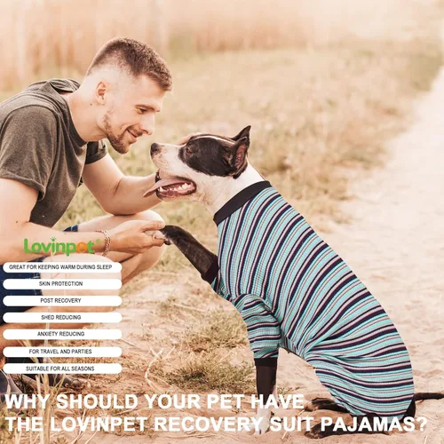 Vista 7 de LovinPet Pijama grande para perro, camisa de algodón multicolor a rayas, cuerpo completo 99.9% algodón, pijama para perro de raza grande, pijama