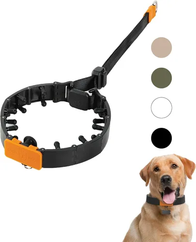 Vista 7 de SVD.PET Collar de punta para perro para entrenamiento sin tirones, hebilla de liberación rápida ajustable para perros pequeños
