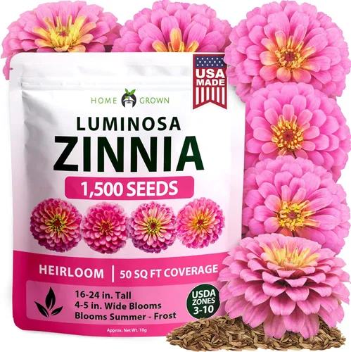 Vista 78 de Bóveda de 10 semillas de hierbas culinarias - Semillas criollas y sin transgénicos – Más de 3000 semillas para plantar en jardín de hierbas exterior
