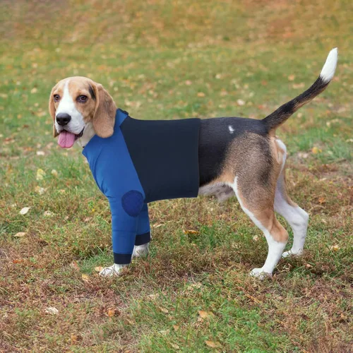 Vista 8 de LeLePet Traje de recuperación para perros para las patas delanteras, manga para perros para detener la lamida, protector de codo para lesiones
