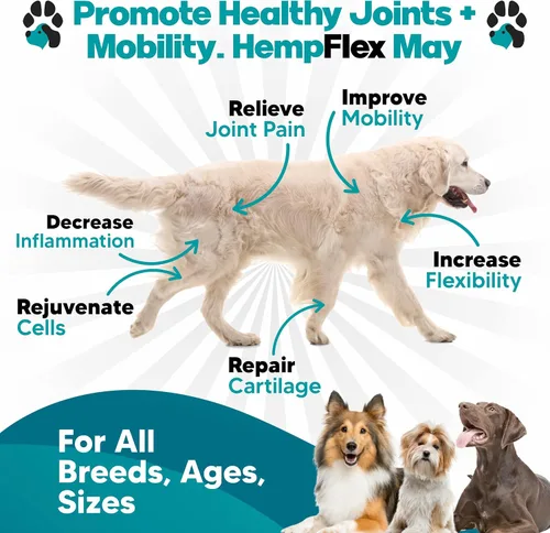 Vista 2 de HempFlex - Glucosamina condroitina para perros - Aceite de cáñamo para perros - Suplemento seguro para las articulaciones de perro para todas