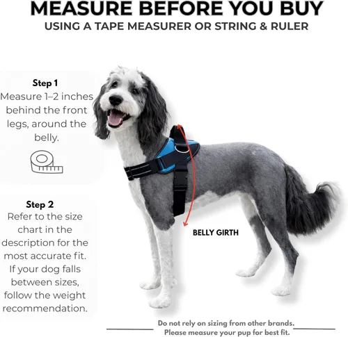 Vista 5 de ShawnCo Arnés esencial para perro, chaleco sin tirones para mascotas con 3 clips de correa, sin estrangulamiento, reflectante, ajustable