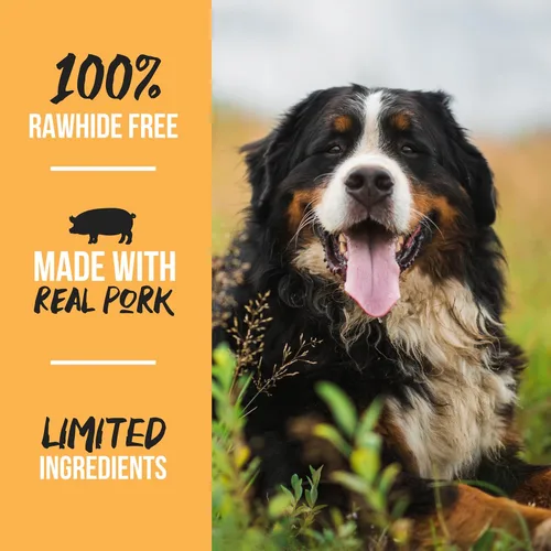 Vista 8 de Scott Pet Grillerz Orejas de cerdo reales, 12 unidades, ingrediente único, orejas de cerdo 100 % naturales para perros, masticables para dientes