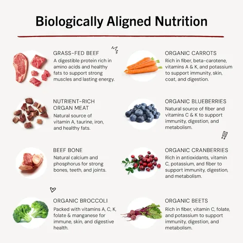 Vista 9 de Stella & Chewy's - Meal Mixers comida cruda congelada liofilizada de carne de res de Stella & Chewy's Sin Granos, 3.5-onza