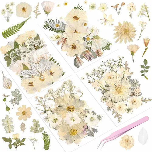 yuboo 98 piezas de flores secas prensadas blancas otoñales para resina, hojas florales secas a granel naturales reales para manualidades artísticas
