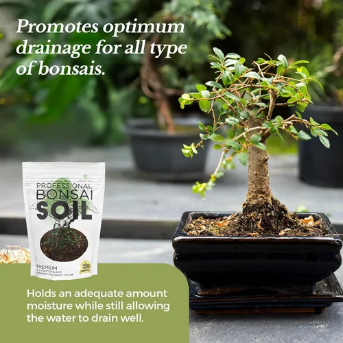 Vista 4 de Mezcla multiusos prémium de suelo grande para bonsái, premezclada, lista para usar para soporte de plantas y drenaje rápido, lava, peral de piedra