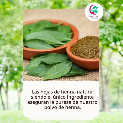 Vista 6 de Paquete múltiple Polvo de henna + polvo índigo para paquete 32 oz cada uno