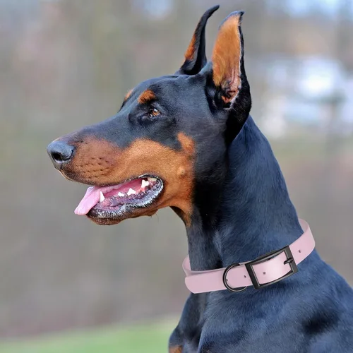 Vista 235 de Dogline Biothane - Collar impermeable para perro con hebilla de liberación rápida, resistente cincha de nailon recubierta con resistente y a prueba