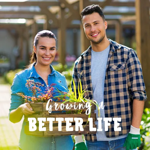 Vista 5 de Bug Out Bag Survival Garden - Semillas de verduras y hierbas - ~ 12,000 semillas - Colección de 19 variedades de semillas tradicionales para bóveda