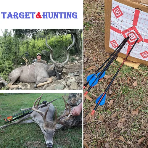 Vista 2 de Archery Carbon Arrow 28 29 30 inch 300 340 350 400 Spine Practice Hunting Arrows for Compound Recurve Bow 12PCS