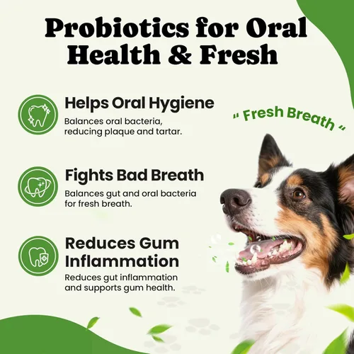 Vista 5 de Probióticos para perros – Salud digestiva e intestinal para estómagos sensibles, probióticos para perros en polvo para piel y pelaje, aliento e