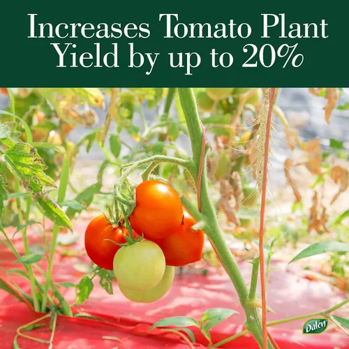 Vista 6 de Dalen Better Reds - Película perforada de mantillo rojo que estimula el crecimiento temprano de las plantas y maximiza la calidad de la cosecha