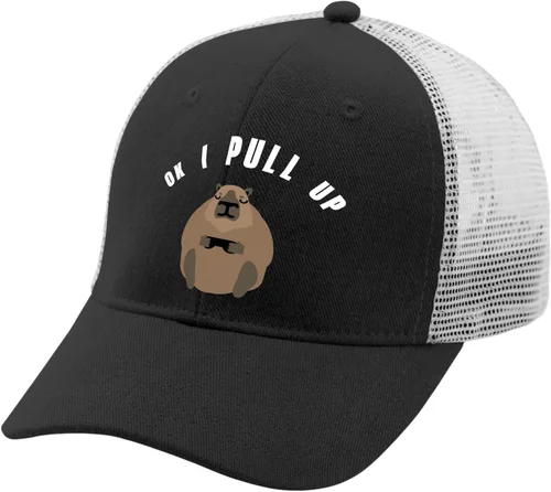 Vista 2 de devor Hats Ok I Pull Up Dad Hats, Funny Cap for Women